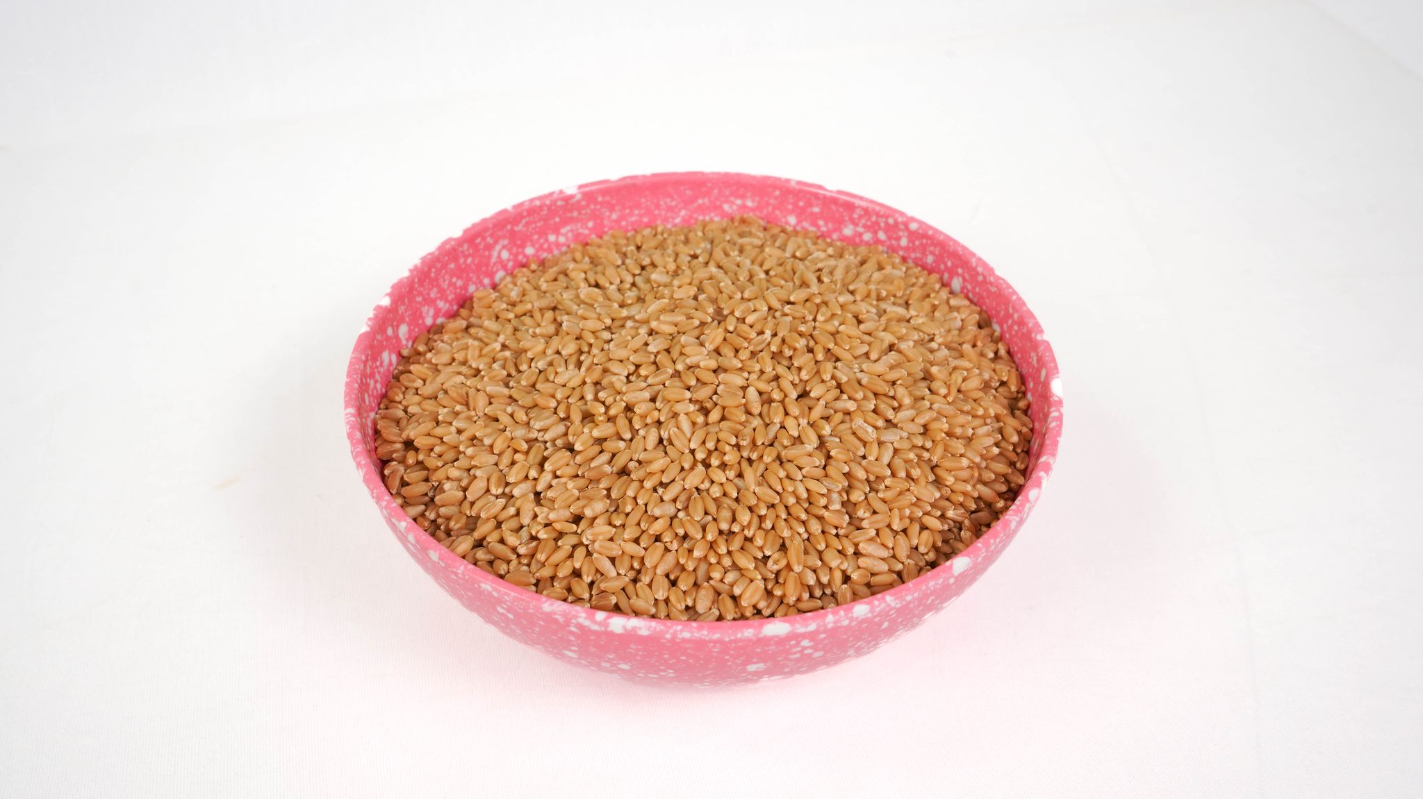 Sharabati wheat1000 gram each