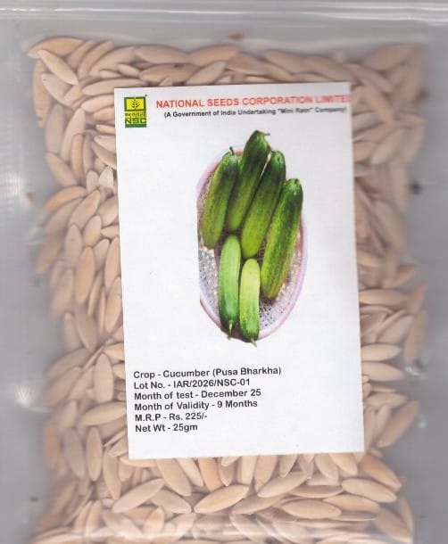 NSC CUCUMBER VAIETY- PUSA BARKHA 25gm 