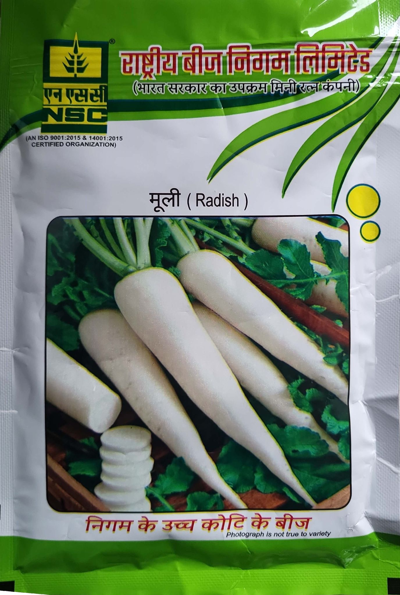 NSC Radish Variety- Japanese White Truthful Labelled (TL) Seed 100 gm (2 packet of 100 gm Each)