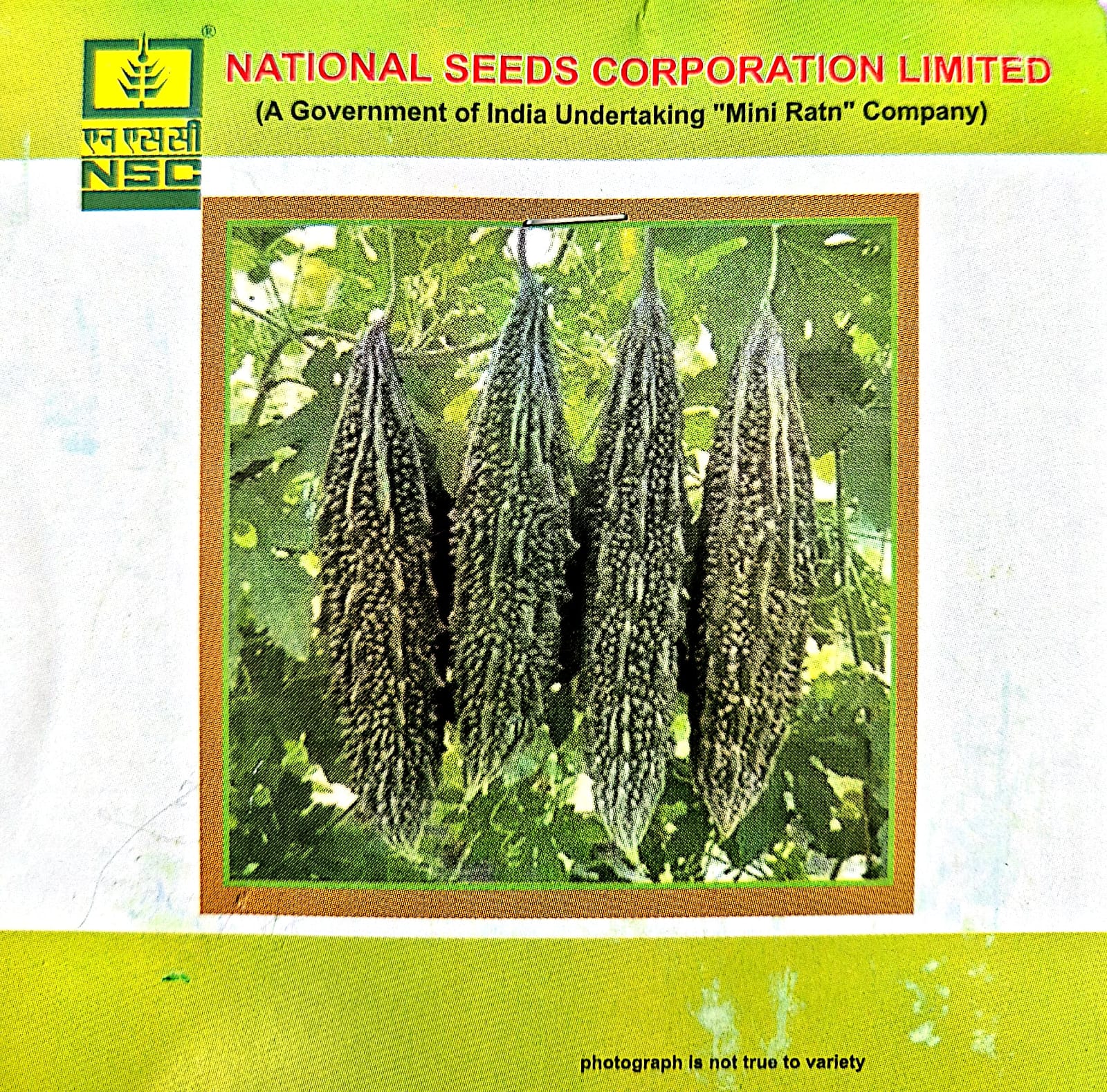 NSC BITTER GOURD VAR- KASHI PRATISHTA - 5GM