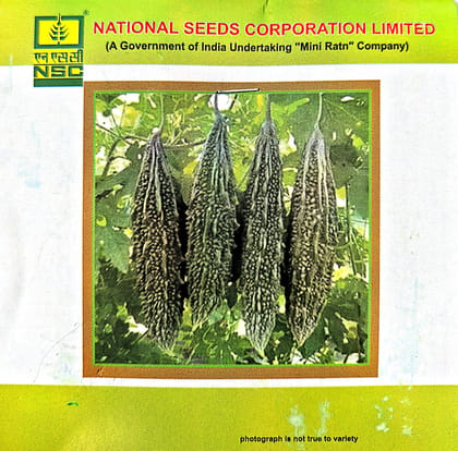 NSC BITTER GOURD VAR - KASHI PRATISHTA - 5 GM