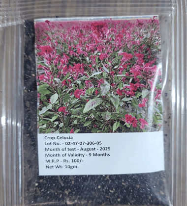 Celocia Truthful Labelled (TL) Seed  10 gm packet