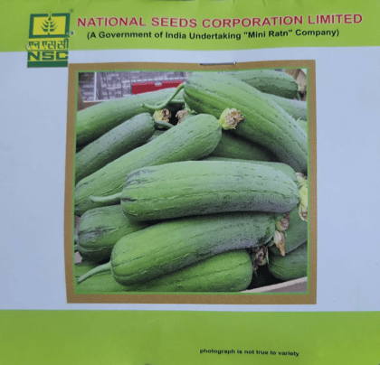 Sponge Gourd Variety - Kashi Shreya Truthful Labelled (TL) Seed 10 gm  (2 packet  of 5 gram Each)