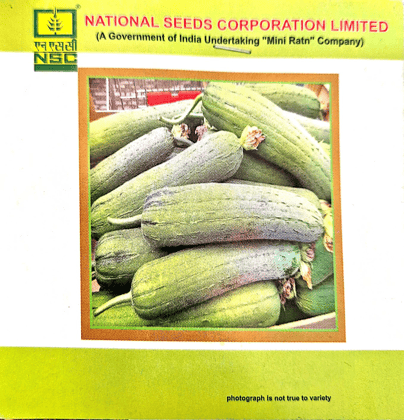 NSC SPONGE GOURD VAR - KASHI SHREYA - 5 GM