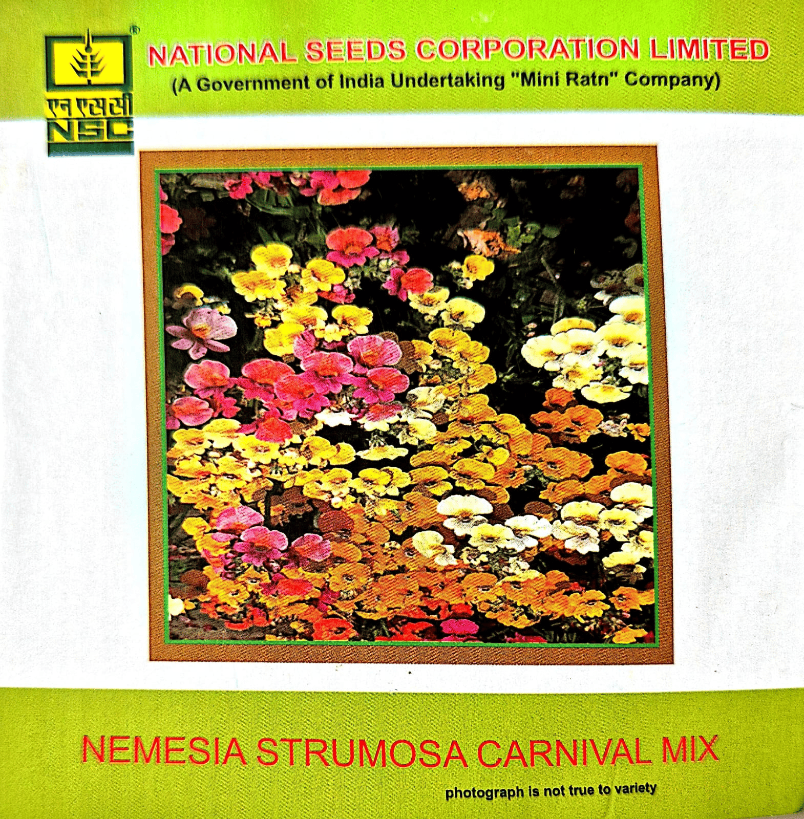 NEMESIA STRUMOSA CARNIVAL MIX - 3 GM