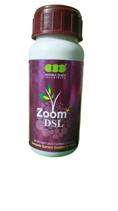 Zoom DSL