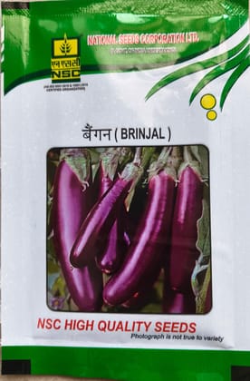 Brinjal PPL
