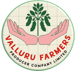 VALLURU FARMERS PRODUCER COMPANY LIMITED