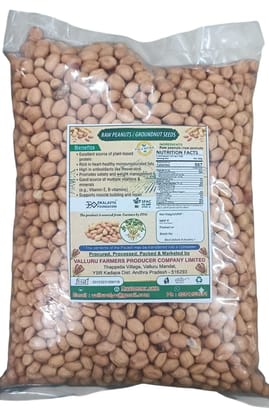 Groundnut Seeds/Raw Peanuts