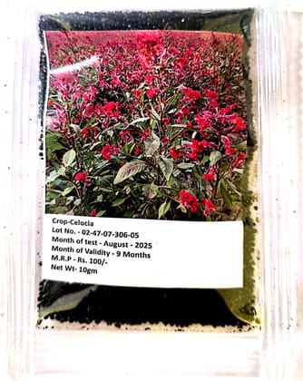 NSC CELOCIA (MURGA KALGI) FLOWER VIBRANT BLOOMING HIGH-QUALITY SEEDS - 10 GMS POUCH | Easy to Grow Flower Seeds Pack.