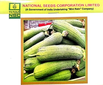 NSC Sponge Gourd (Nenua) Seeds – Kashi Shreya Variety | High-Quality Treated Seeds | 5 gms Pouch