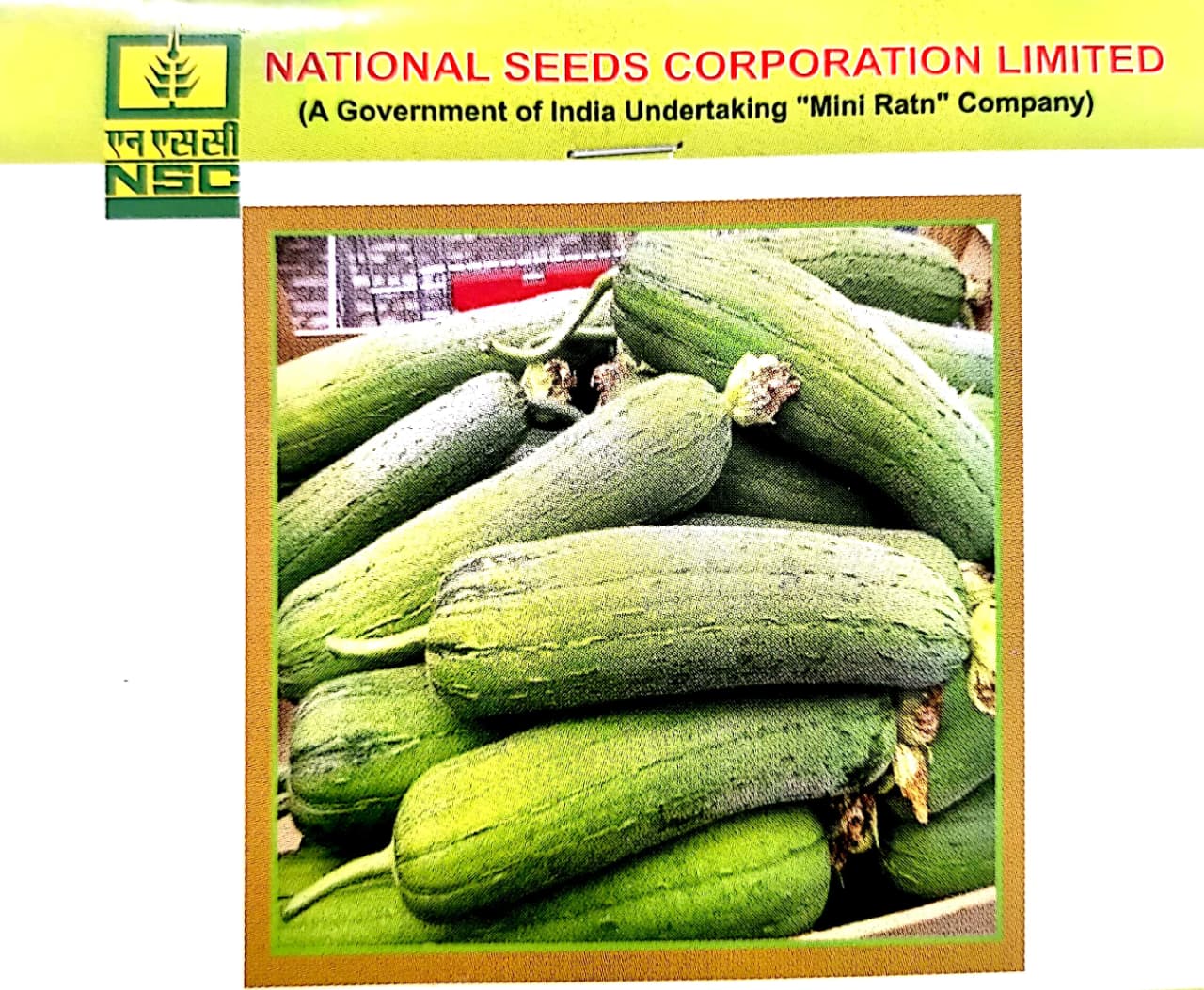 NSC Sponge Gourd (Nenua) Seeds – Kashi Shreya Variety | High-Quality Treated Seeds | 5 gms Pouch