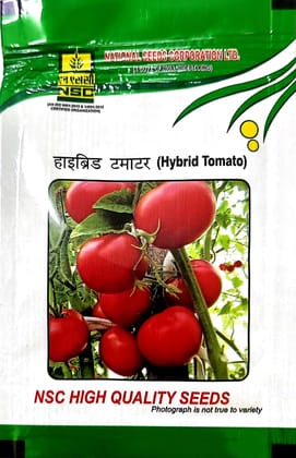 NSC HYBRID TOMATO - Variety KASHI ABHIMAN - HIGH-QUALITY HYBRID SEEDS - 5 GMS POUCH
