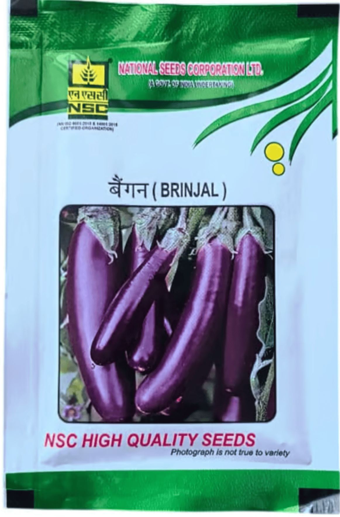 NSC BRINJAL PPL 10GM