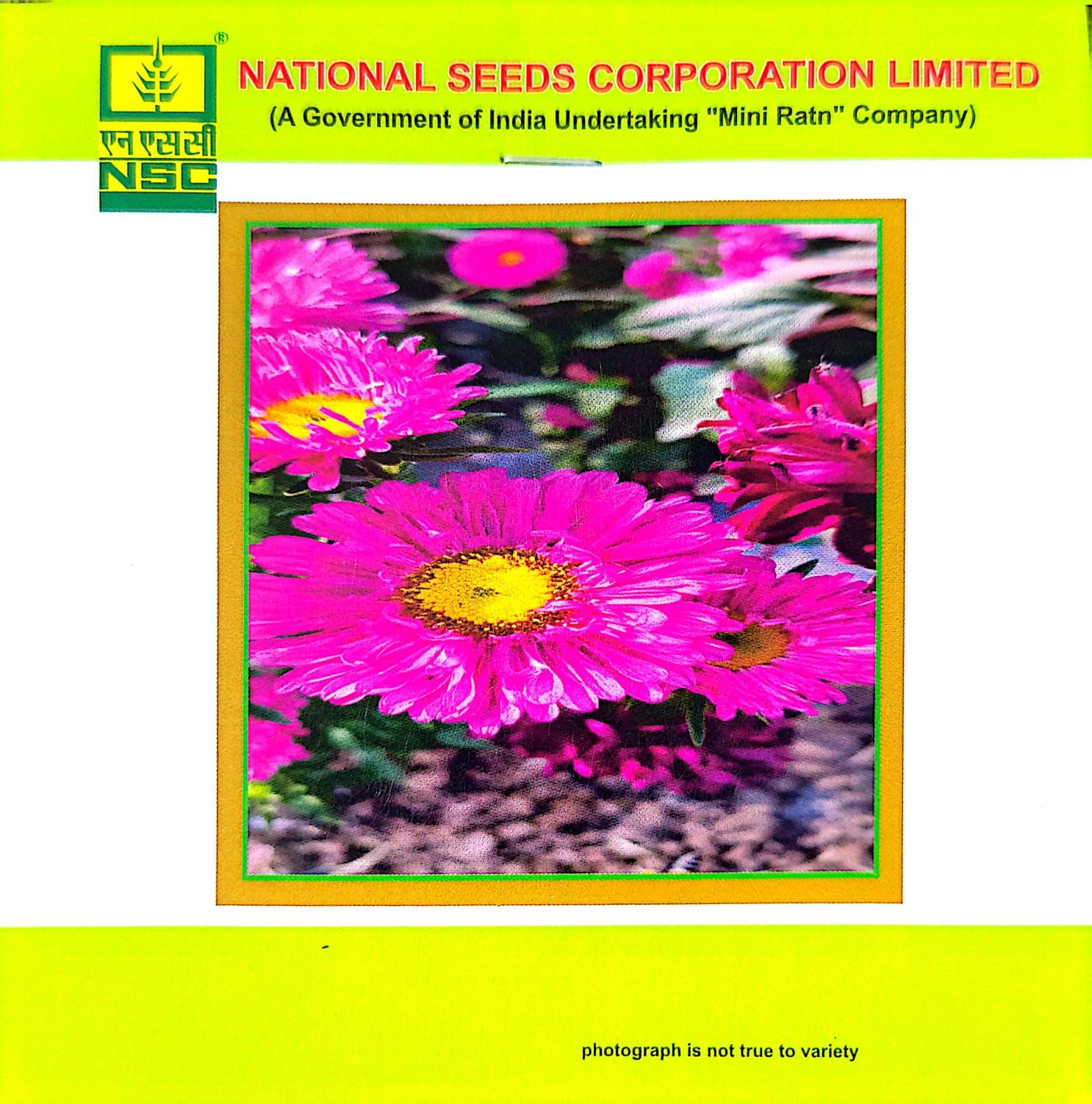 NSC ZINNIA MIX 1 GM PACK