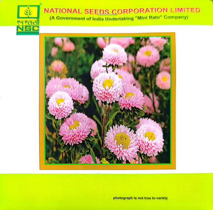 NSC ASTER MIX 2 GM PACK