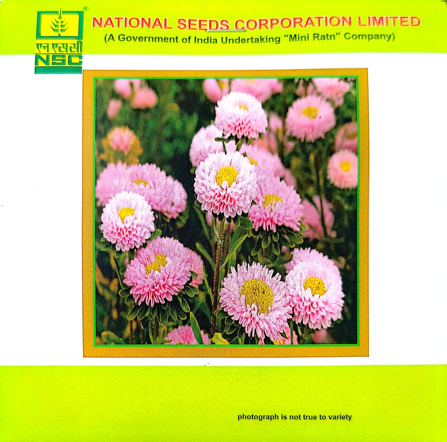 NSC ASTER MIX 2 GM PACK