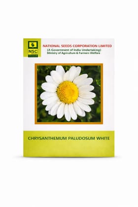 National Seeds Corporation Chrysanthemum Paludosum White Seeds
