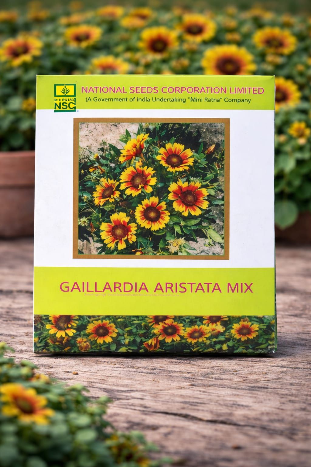 NSC Gaillardia aristata Mix