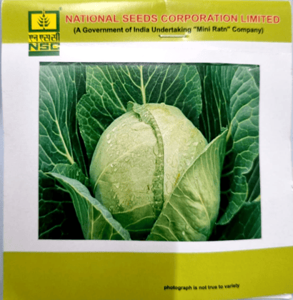 NSC - CABBAGE (GOBI) - VARIETY GOLDEN ACRE HIGH-QUALITY T/L SEEDS- 5 GMS POUCH