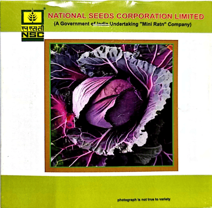 NSC - Hybrid RED CABBAGE (LAL GOBI) - VARIETY PUSA RED CAB. HYB-I HIGH-QUALITY HYBRID SEEDS- 1 GMS POUCH