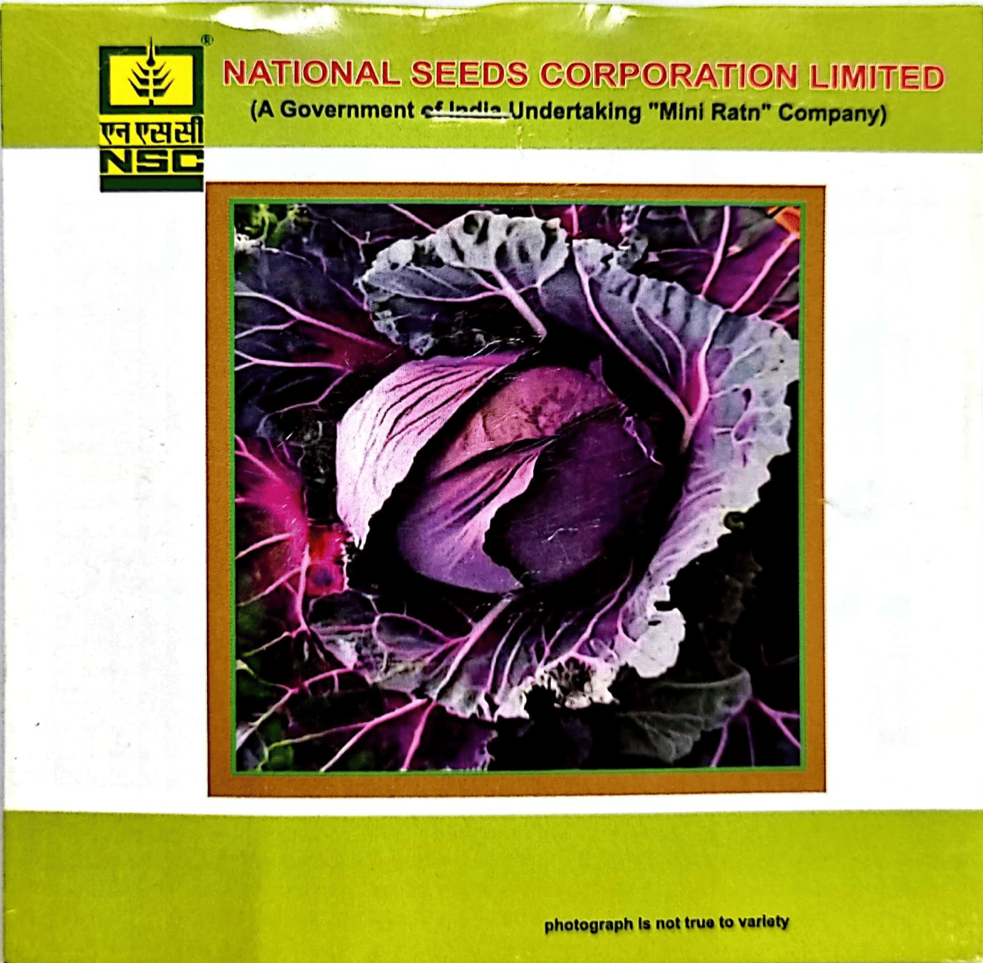 NSC - Hybrid RED CABBAGE (LAL GOBI) - VARIETY PUSA RED CAB. HYB-I HIGH-QUALITY HYBRID SEEDS- 1 GMS POUCH