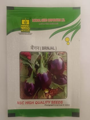 Brinjal Variety- Pusa Uttam (TL) Seeds