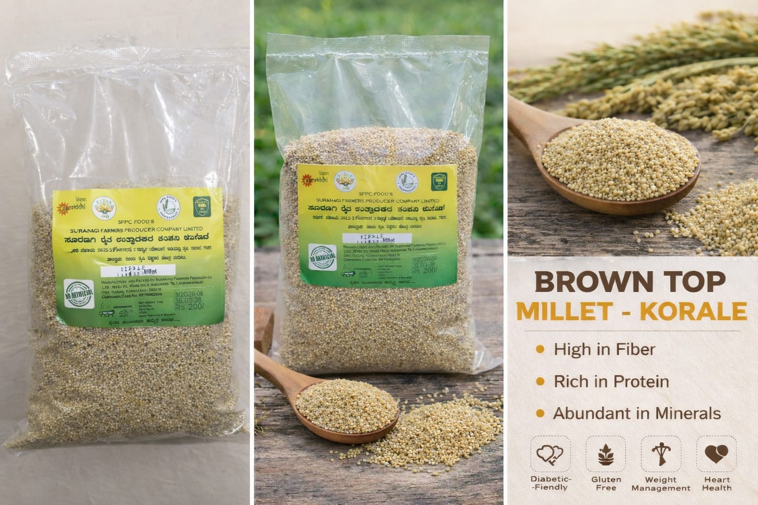 Brown Top  Millet- korale