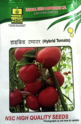 NSC KASHI ABHIMAN 5 GM PACK