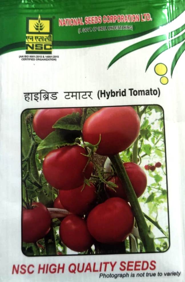 NSC KASHI ABHIMAN 5 GM PACK