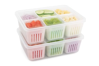 6-Compartment Multi-Purpose Food Storage Container Set of 2 6-Compartment Multi-Purpose Food Storage Container Set of 2