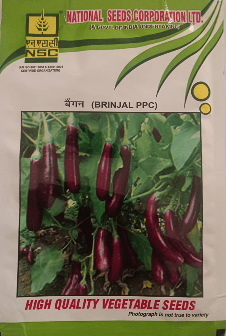 National Seeds Corporation Ltd Brinjal PPC Vegetable Seeds