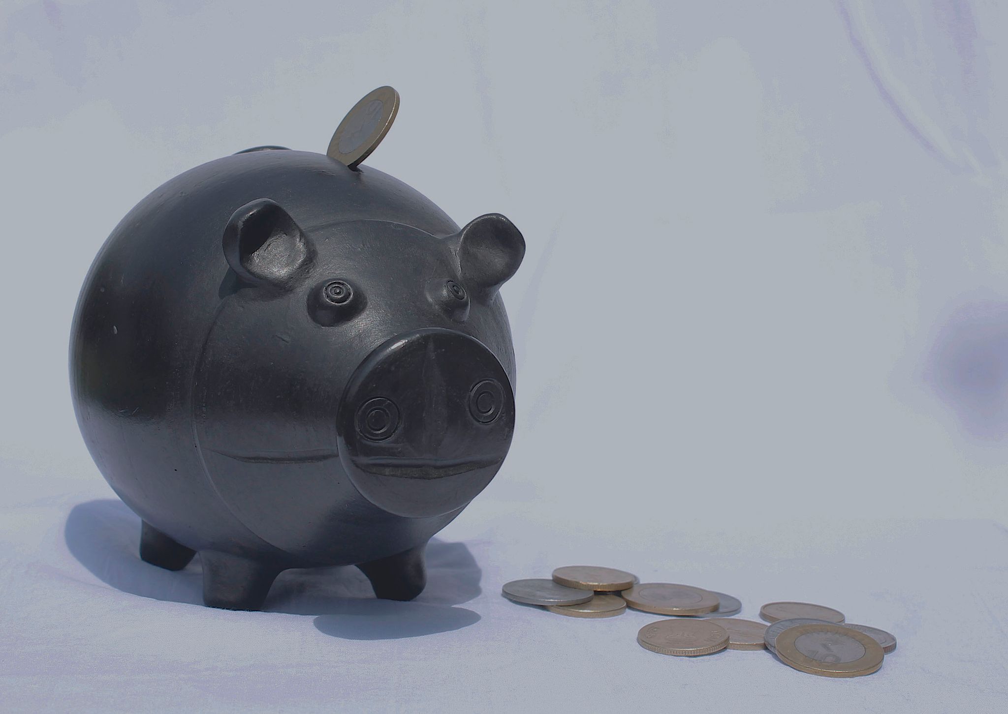 Piggy Bank