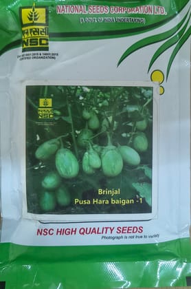 NSC Brinjal Seed Pusa Hara Baingan-1, 100gm