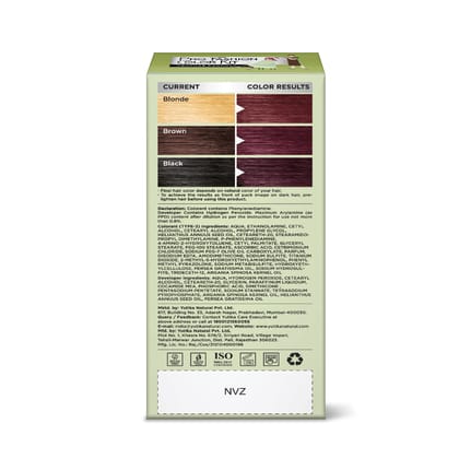 Neeta Professional Pro Fashion Color Kit 3.16 Burgundy 100g Pack of 2, Permanent Hair Color, Creme Hair Colour for Women & Men