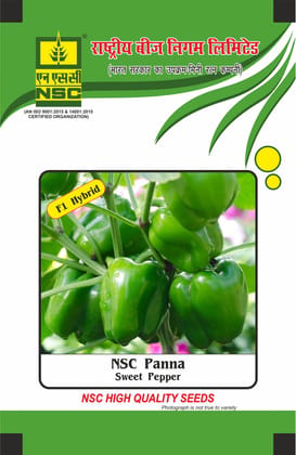 NSC Hybrid Capsicum, Panna, 10 gram Seed Pouch