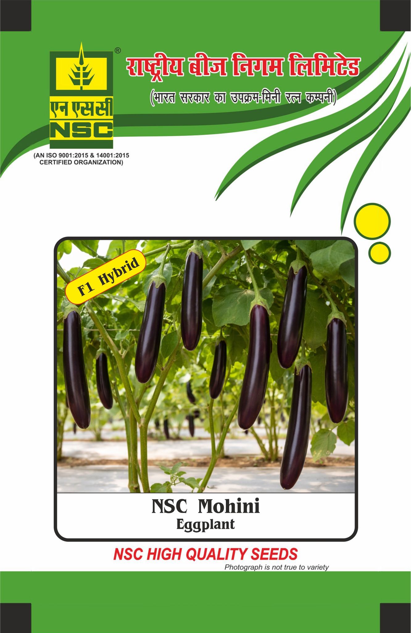 NSC Brinjal, Mohini, 10 Gram Hybrid Seed Pouch