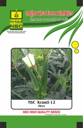 NSC Okra, Kranti-12, 100 gram Open Pollinated Variety Seed Pouch