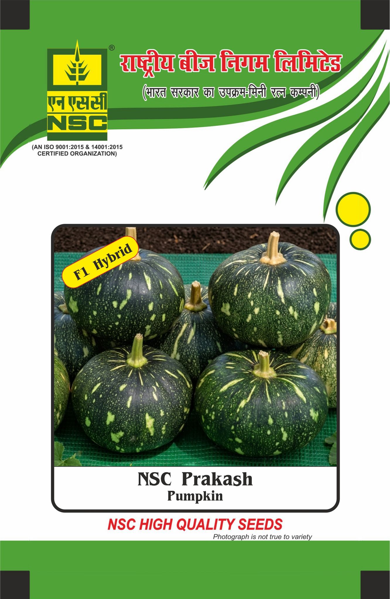 NSC Pumpkin, Prakash, 25 gram Hybrid Seed Pouch