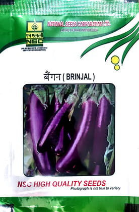 NSC_Brinjal_variety PPL_10gm