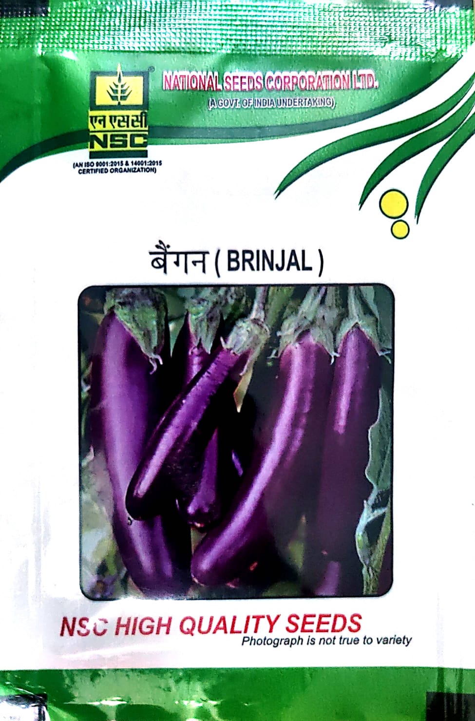 NSC_Brinjal_variety PPL_10gm