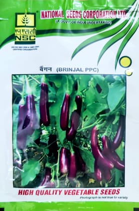 NSC_Brinjal_variety PPC_10gm