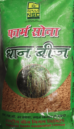 Paddy Pusa Basmati -1121 Seeds