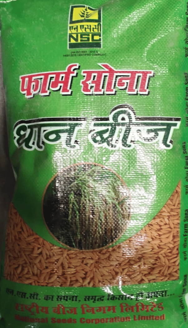Paddy Pusa Basmati -1121 Seeds