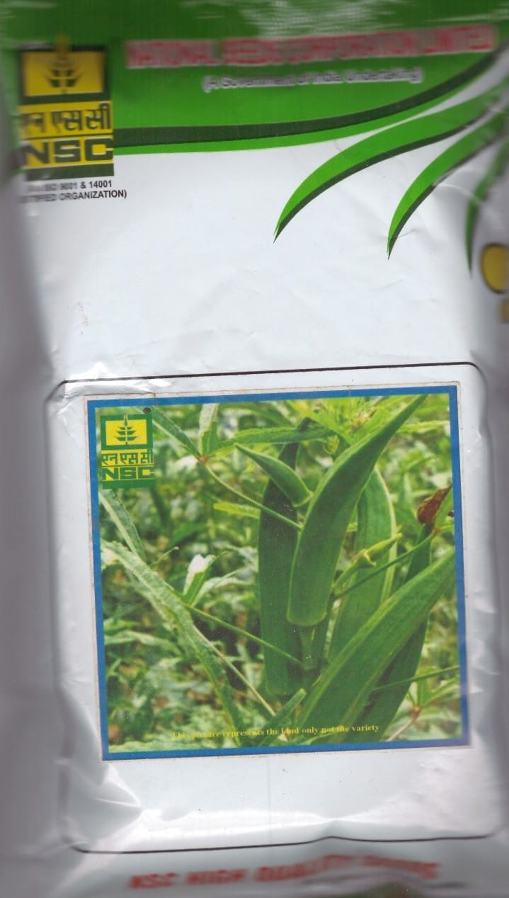 NSC Bhindi Arka Anamika T/L 250gm Seed