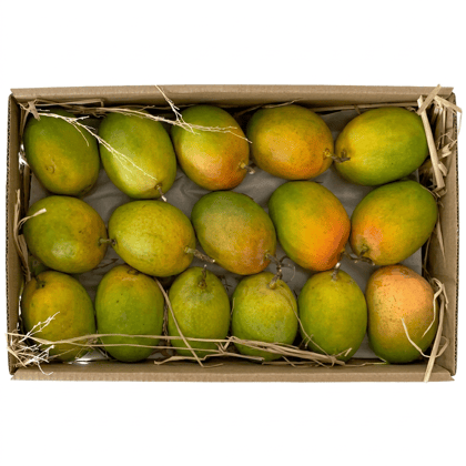 20 No.s Alphonso Hapus Mangoes - Ripened Box 
