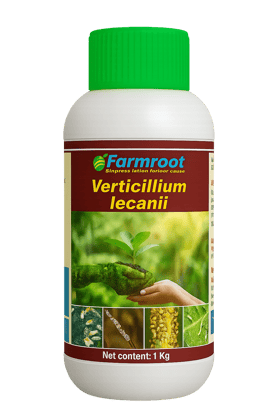 FARM VERTICILIUM -10 Ltr