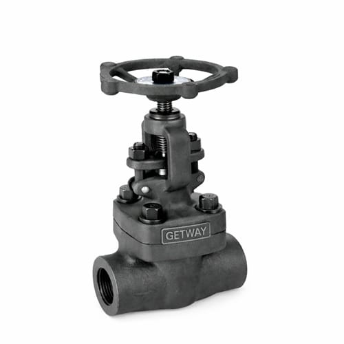 GETWAY Forged Steel Gate Valve 1 Inch 800# (Class 800), A105 Body, NPT Threaded, Industrial Use