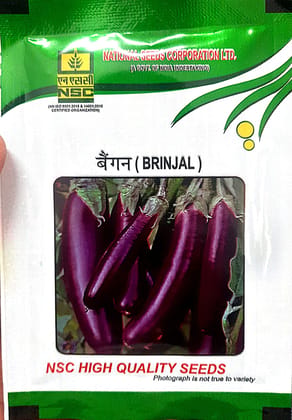NSC Brinjal PPL TL