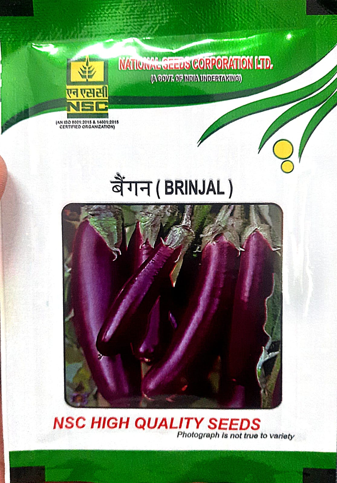 NSC Brinjal PPL TL